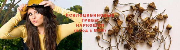 mdma Богданович