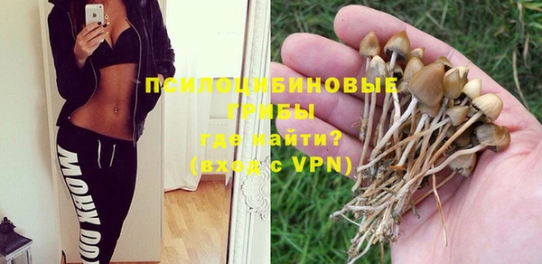 мдма Бородино