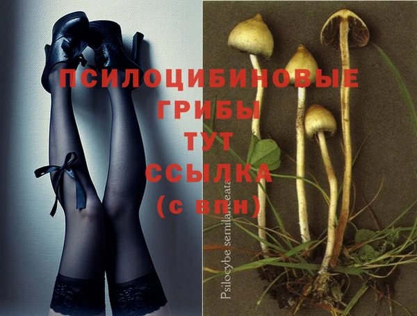 mdma Богданович