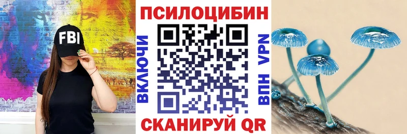 Псилоцибиновые грибы ЛСД  Торопец 