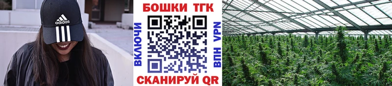 сколько стоит  Торопец  Бошки марихуана THC 21% 
